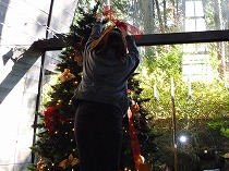 c0084760_17431243.jpg