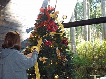 c0084760_17433261.jpg