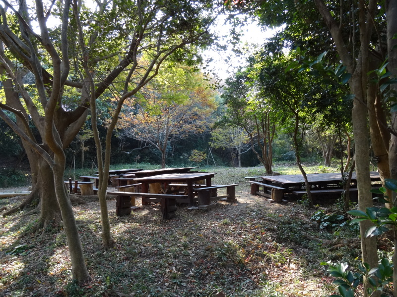 c0108460_20260200.jpg