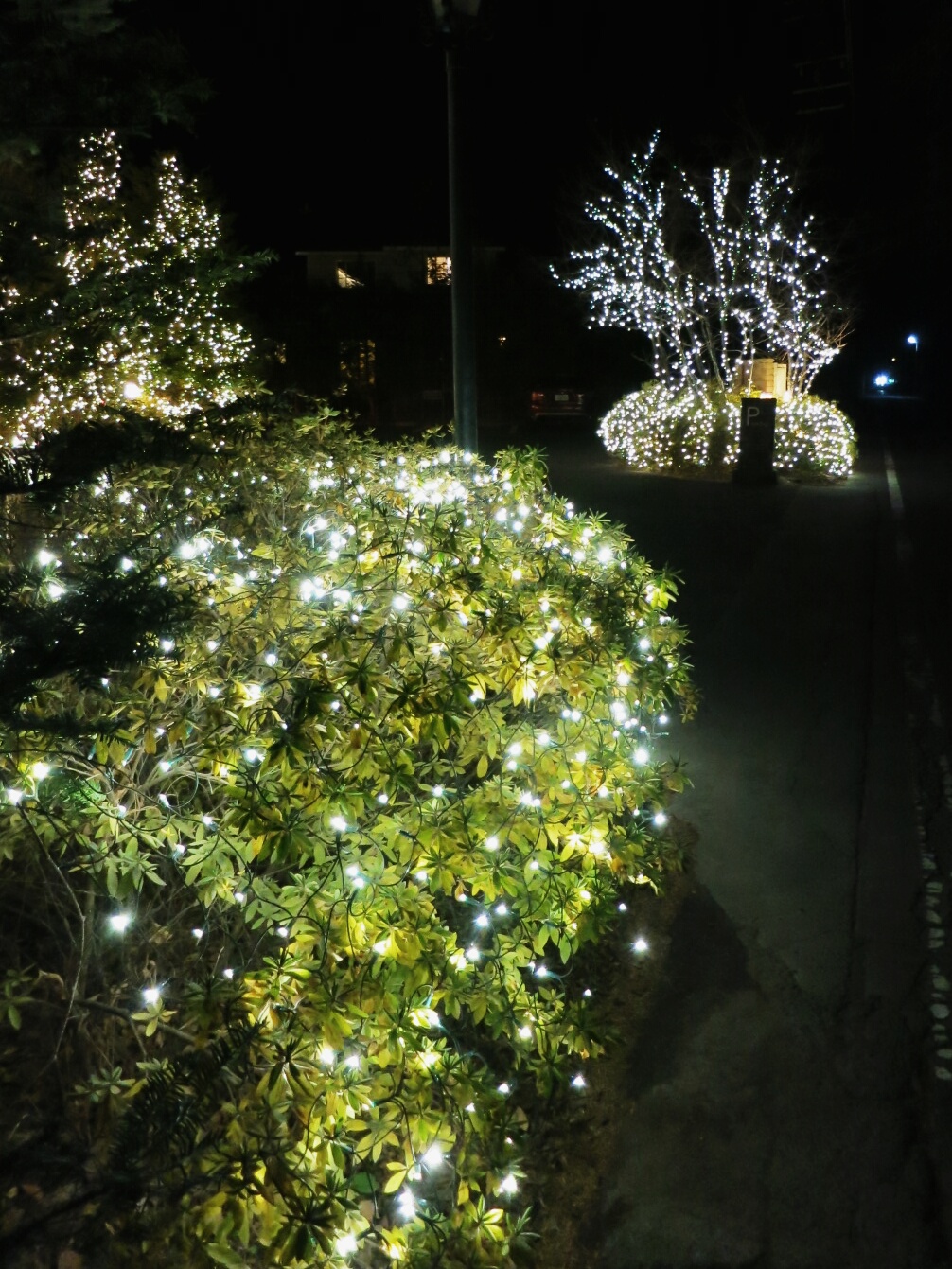 f0236260_2212372.jpg