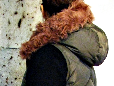 e0096563_15251575.jpg