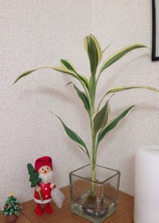 f0200863_14345702.jpg