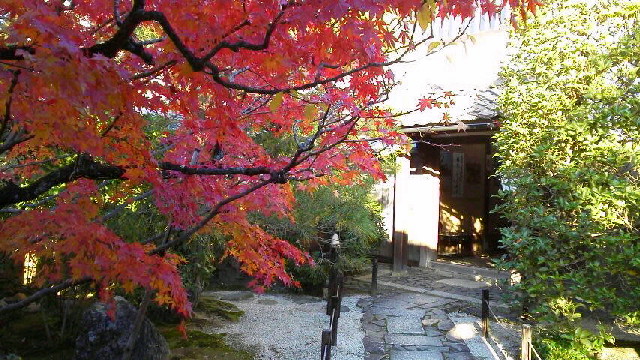 c0018666_20201715.jpg