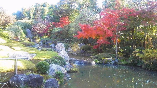 c0018666_20201762.jpg