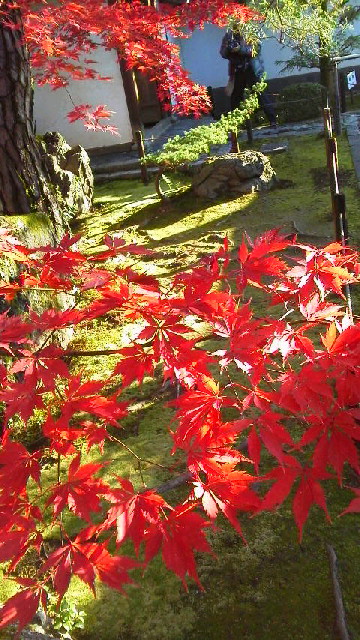 c0018666_20201778.jpg