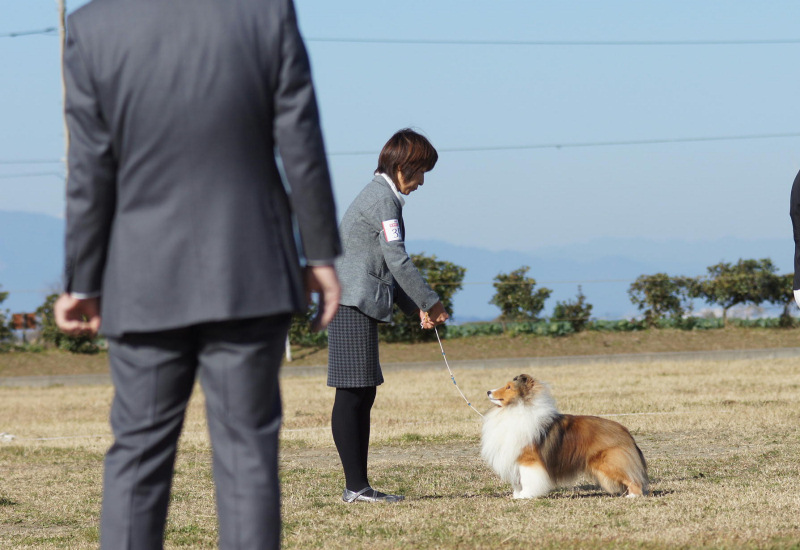 12.1 JCC神奈川展_a0139367_22254041.jpg