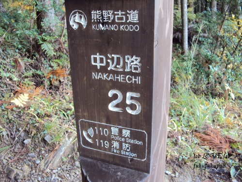 b0196568_1124573.jpg