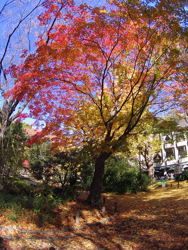 b0084270_335770.jpg