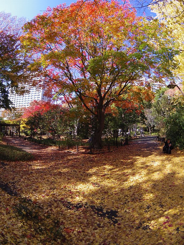 b0084270_341253.jpg
