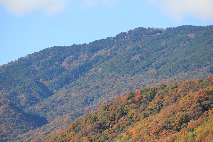 e0175370_17503796.jpg