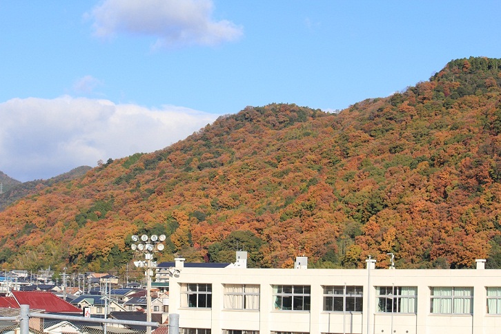 e0175370_17505510.jpg