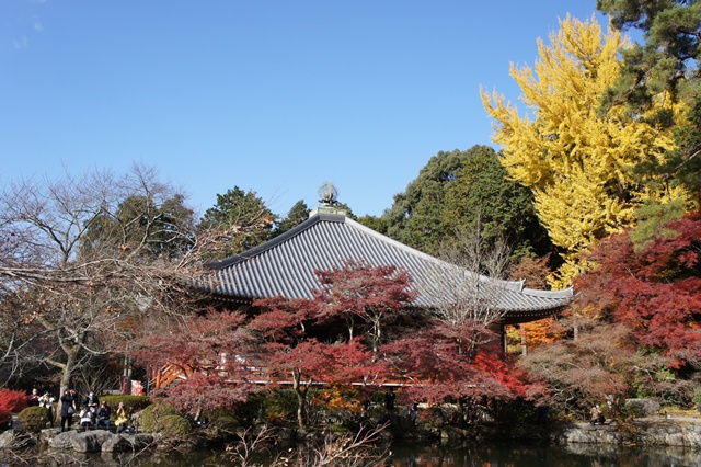 京都の紅葉2013　　　　醍醐寺_e0177271_22165121.jpg