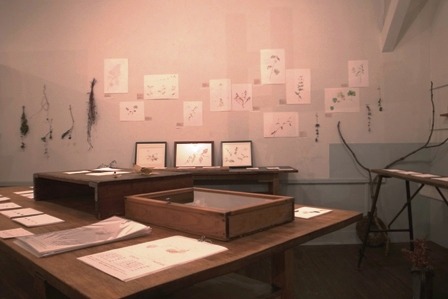 c0108673_831444.jpg