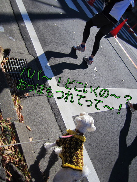d0264176_1654039.jpg