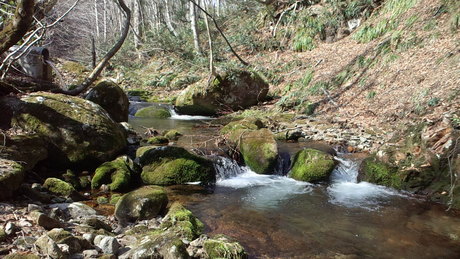 e0275078_1010850.jpg