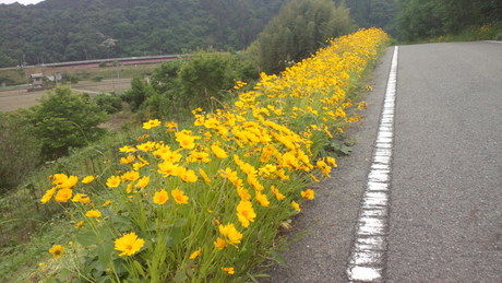 e0275078_1031751.jpg