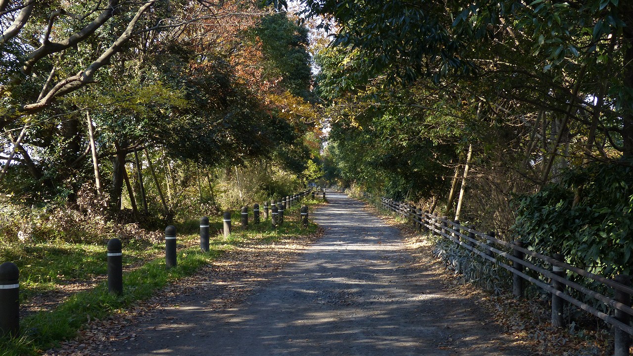 a0185081_2247385.jpg