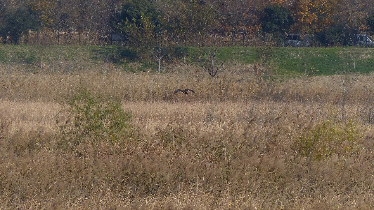 a0185081_22583850.jpg
