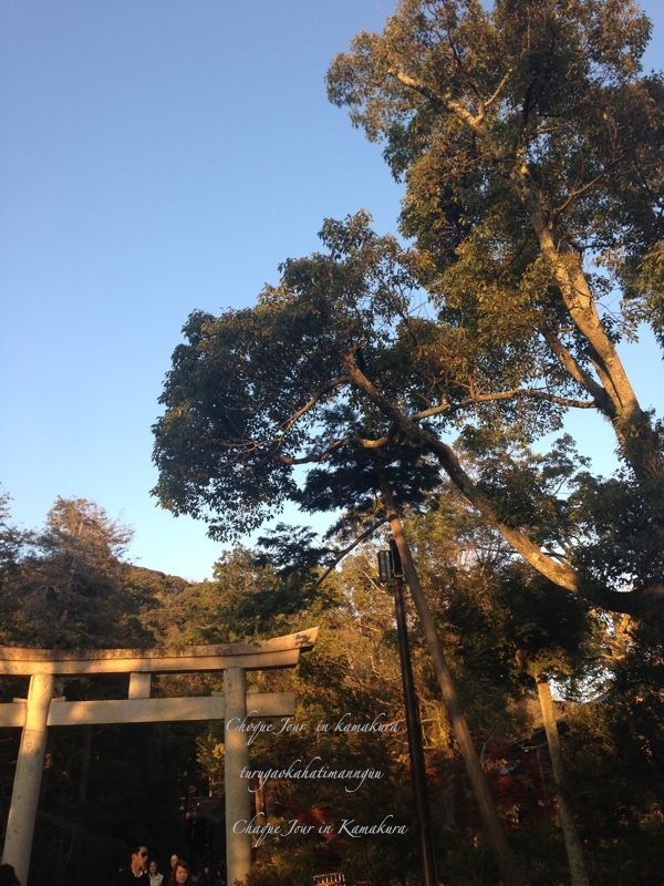 鎌倉散歩_d0266681_923418.jpg