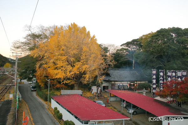 ねんねこ祭り(宵宮）_e0271181_20551172.jpg