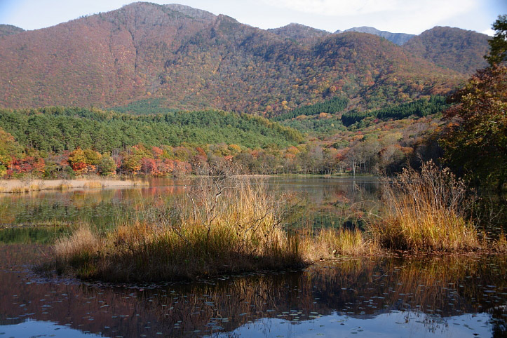 下郷町　観音沼自然公園の紅葉　その５　ラスト_e0165983_942136.jpg