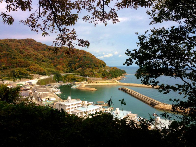 Mountain Running in Shodoshima 小豆島 Day.2_b0220886_11102188.jpg