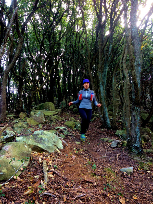 Mountain Running in Shodoshima 小豆島 Day.2_b0220886_11145.jpg