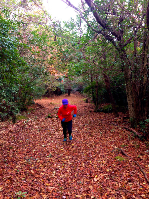 Mountain Running in Shodoshima 小豆島 Day.2_b0220886_11151874.jpg
