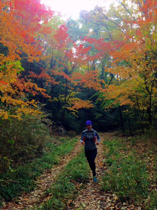 Mountain Running in Shodoshima 小豆島 Day.2_b0220886_1135063.jpg