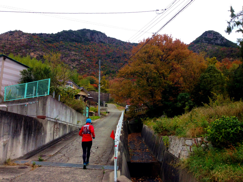 2013/11/26-28 Mountain Running in  Shodoshima 小豆島　Day.3_b0220886_1426166.jpg