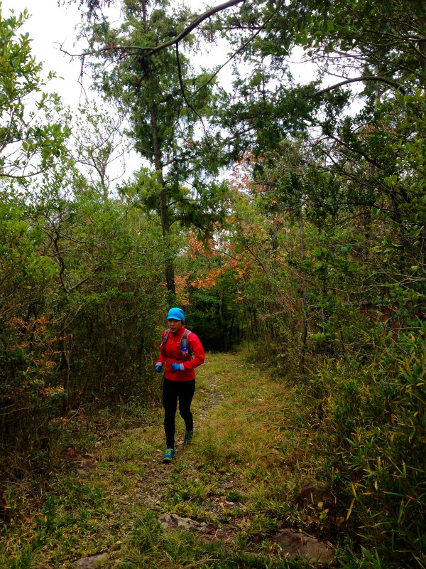 2013/11/26-28 Mountain Running in Shodoshima 小豆島 Day.3_b0220886_14331174.jpg