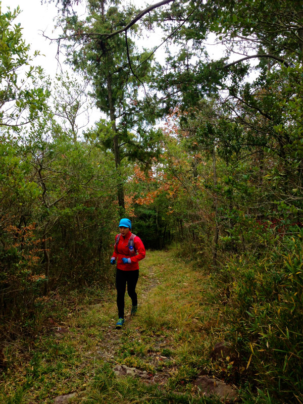 2013/11/26-28 Mountain Running in  Shodoshima 小豆島　Day.3_b0220886_14331174.jpg