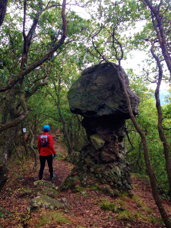 2013/11/26-28 Mountain Running in  Shodoshima 小豆島　Day.3_b0220886_14352696.jpg