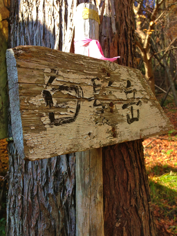 2013/12/01 Mountain Running in Shiragadake 白髪岳 with MRHC_b0220886_1635430.jpg