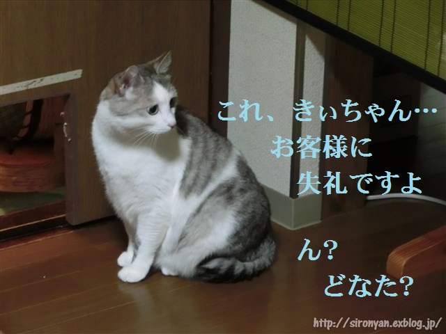 a0159490_1659624.jpg