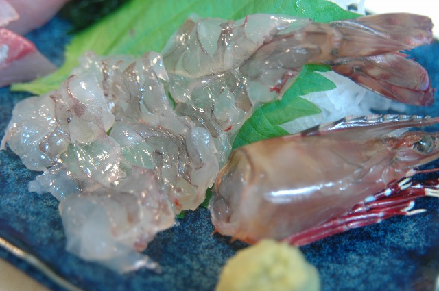 アシアカエビ_d0268290_8535939.jpg