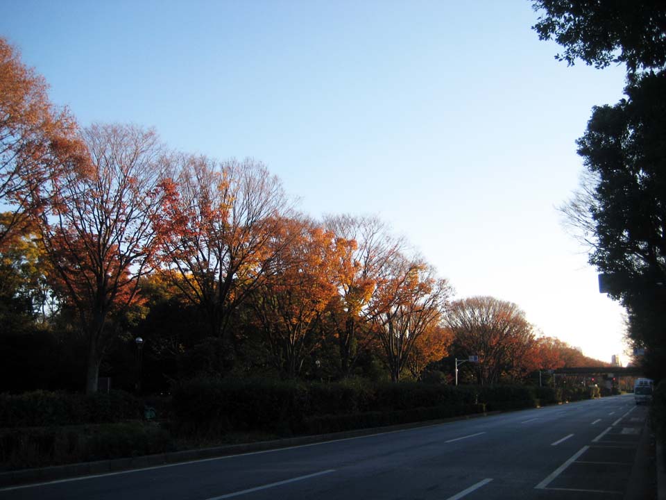 c0260295_13564751.jpg