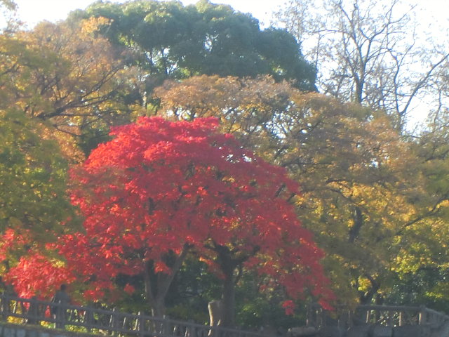 b0044296_201219.jpg