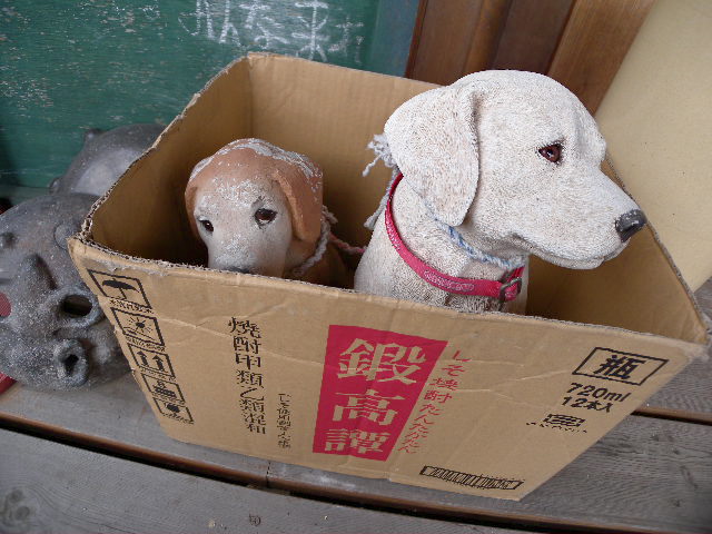 a0199297_11173885.jpg