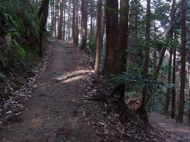 『八重の桜』便乗スペシャル　新島襄の京都（5）_c0306400_15141647.jpg