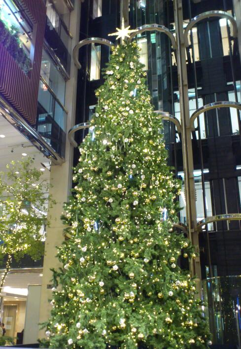 c0164401_3342928.jpg