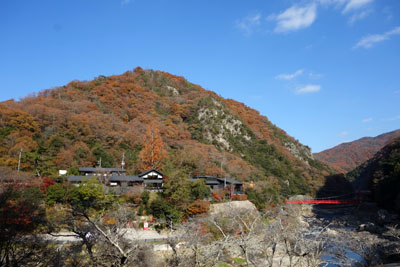 d0090101_21263714.jpg