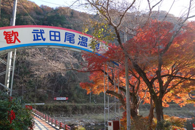 d0090101_21264558.jpg