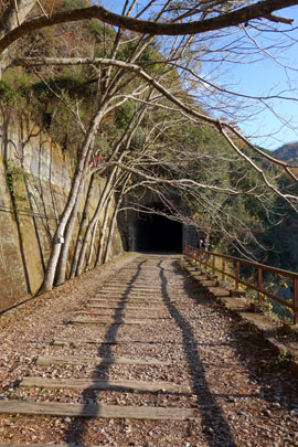 d0090101_21265811.jpg