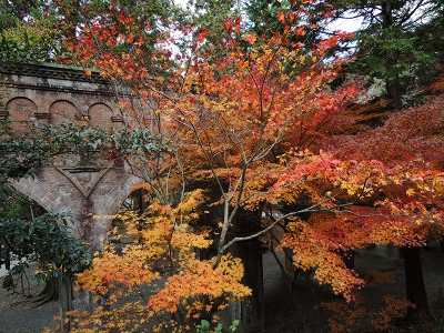 紅葉_e0090501_03120100.jpg