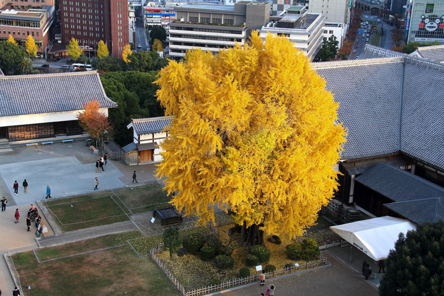 e0093903_2014618.jpg