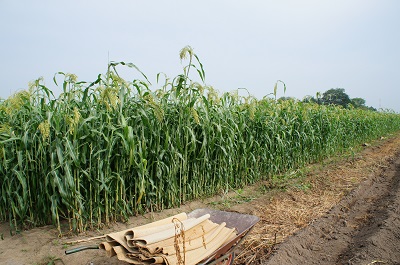 f0303104_22393975.jpg