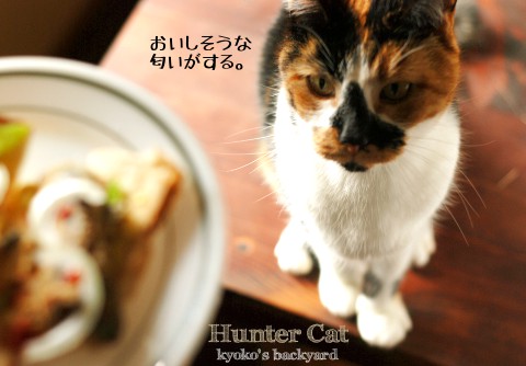 隠しきれない匂い_b0253205_2273068.jpg