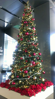 a0000006_23282158.jpg