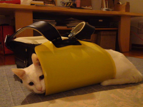e0072606_14444921.jpg